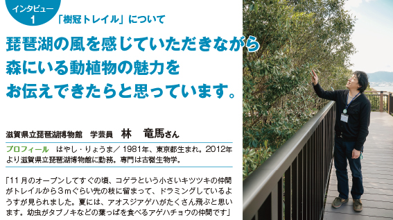 インタビュー1 「樹冠トレイル」について琵琶湖の風を感じていただきながら森にいる動植物の魅力をお伝えできたらと思っています。 滋賀県立琵琶湖博物館　学芸員　林　竜馬さん