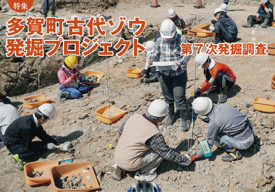 特集：多賀町古代ゾウ発掘プロジェクト　第７次発掘調査